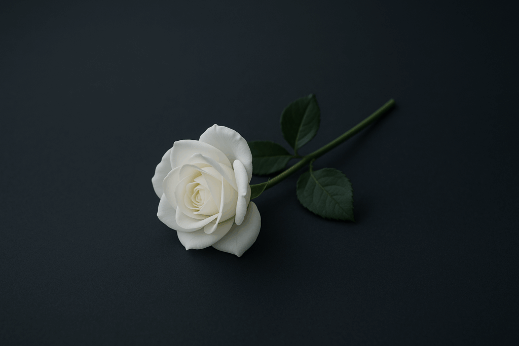 GUIDE TO E TAX SKAT DK visual data 8